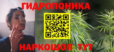 прущие крисы Бийск