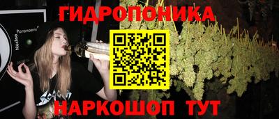 прущие крисы Бийск