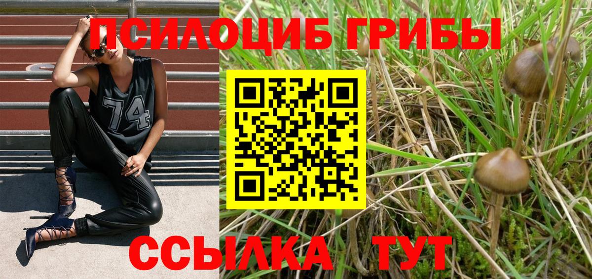 ГАШИШ Димитровград