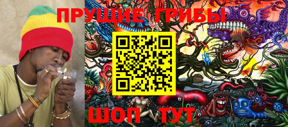 Димитровград  Псилоцибиновые грибы мухоморы  Вход с VPN 