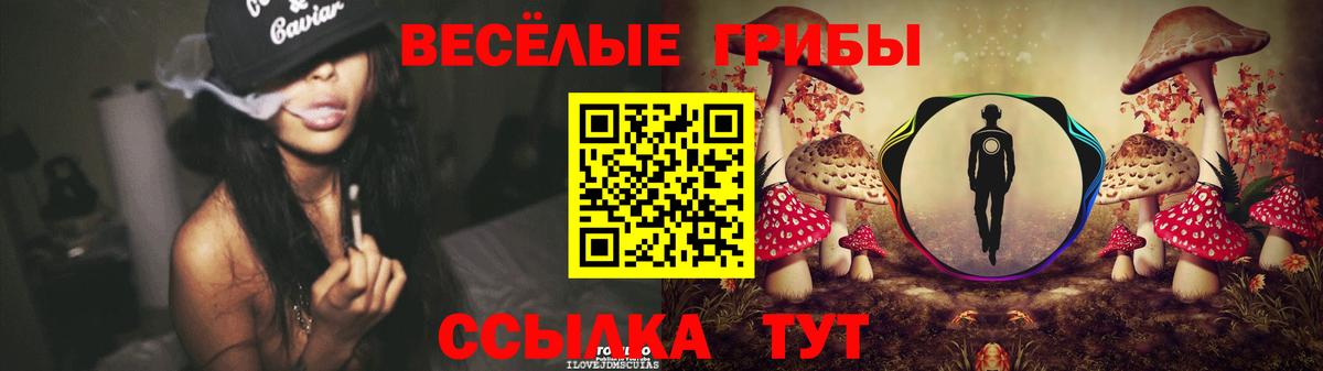 Псилоцибиновые грибы Magic Shrooms Димитровград