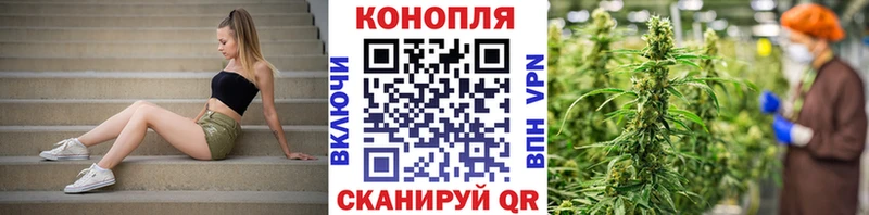 Конопля семена  дарк нет какой сайт  Димитровград 